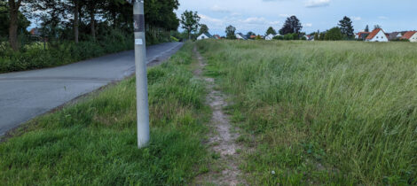 Ein komplett überwucherter Gehweg. In der Mitte ist ein schmaler Pfad zu erahnen.