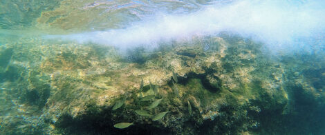 Ein Felsen unter Wasser, an dem sich die Brandung bricht. Man sieht sehr viele Luftblasen.