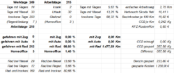 Screenshot einer Tabelle mit den Summen von Tagen zur Wetterlage und zu benutzten Fahrzeugen, sowie den damit zurückgelegten Wegstrecken.